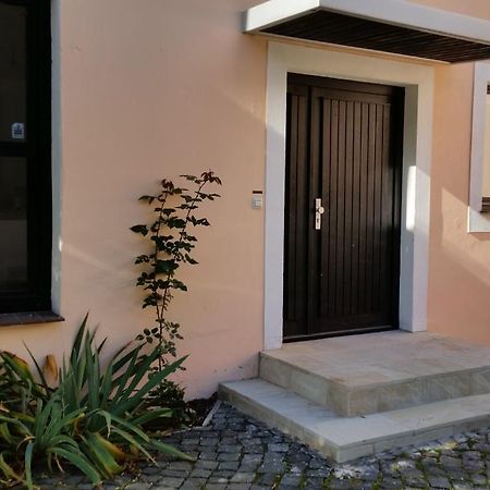 Guest House Wisteria Dresden Exterior photo